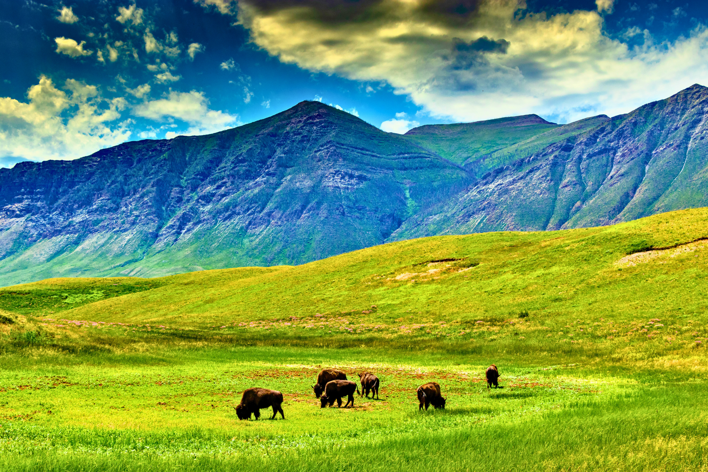 waterton lakes national park, alberta (4).webp